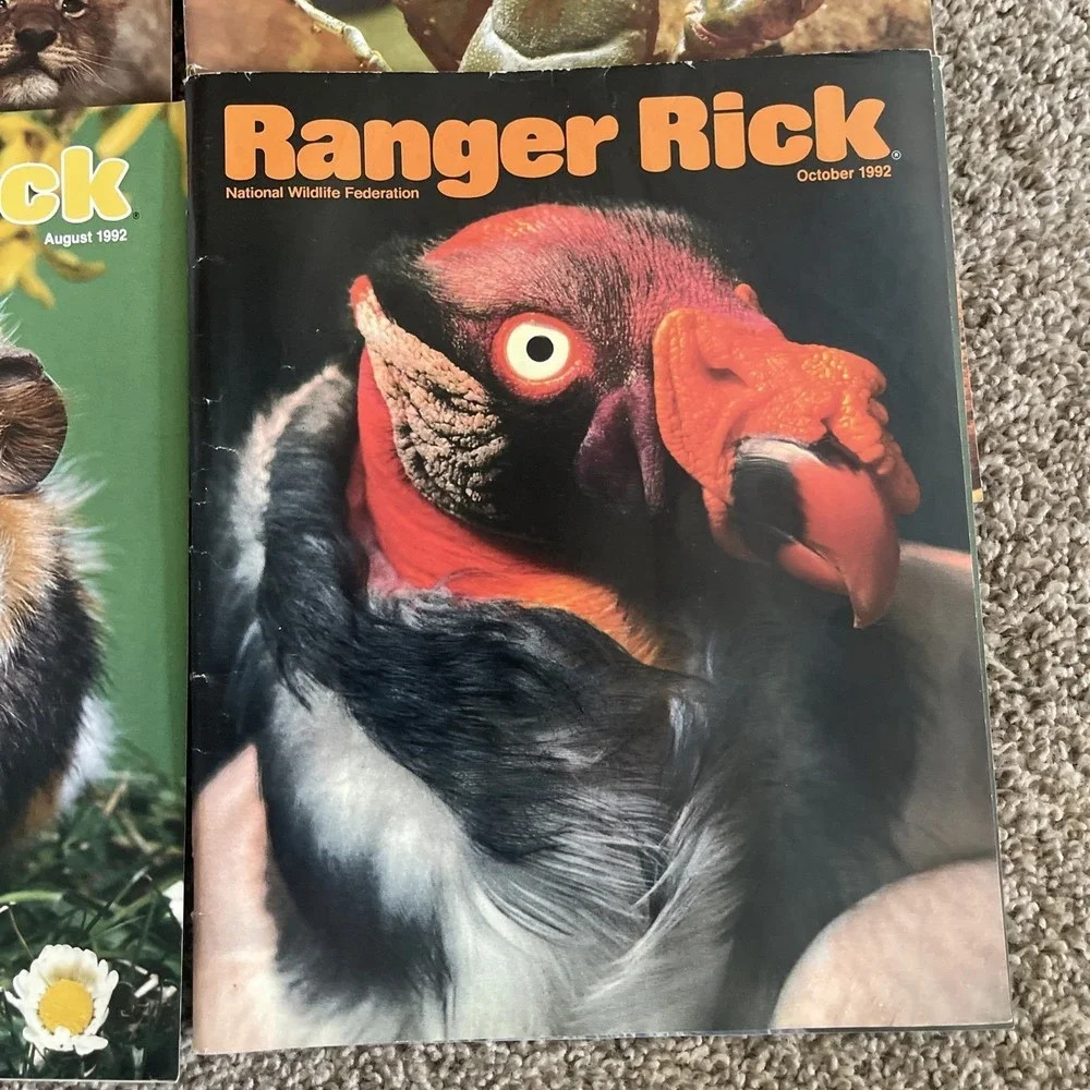 Ranger Rick's Nature Magazine 1992 National Wildlife Kids Vtg Lot Of‎ 9
